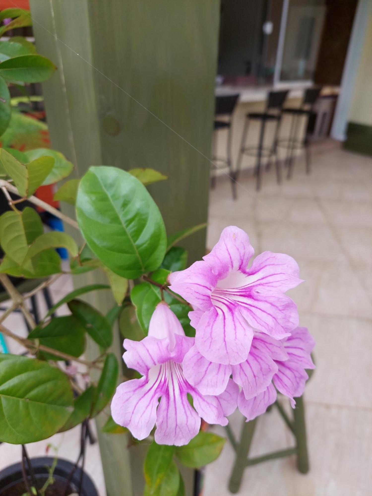 Jurere Cobertura 400M Do Mar Vista Linda Apartment Florianopolis Phòng bức ảnh